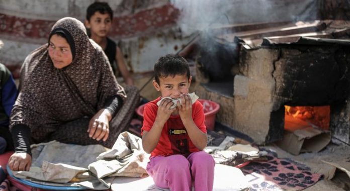 WFP continues to support millions amid ongoing wars in Gaza and Ukraine