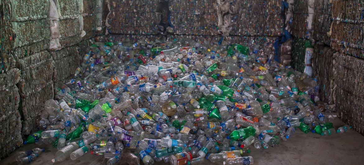 Plastic bottles are collected for recycling in India.