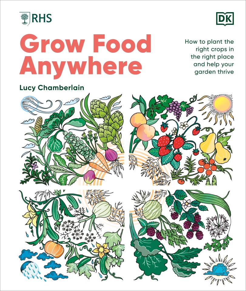 Illustration of book cover: Grow Food Anywhere, by Lucy Chamberlain; shows various fruits and vegetables.